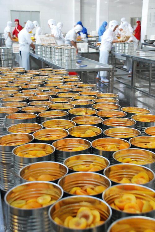 某罐头厂食品加工废水COD超标原因分析及治理对策——以水果配送环节为切入点