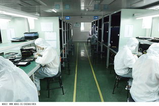 深圳制造业迈入全新品牌世代 匠心拍摄与视觉设计相融之道，以瑞丰鲜肉工厂为例