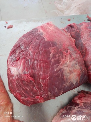 鲜牛腿肉